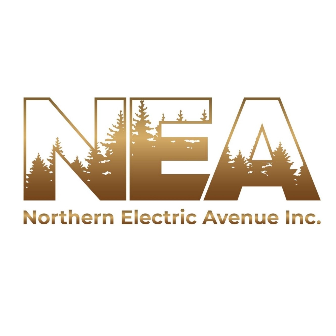 Northern Electric Avenue Inc. - Electricians & Electrical Contractors