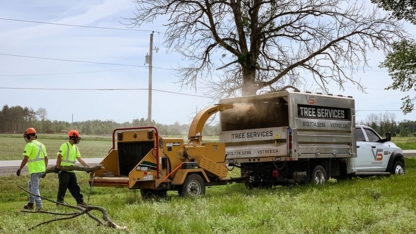 VS Tree Services - Service d'entretien d'arbres