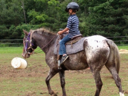 Darkin Riding Stables - Stables