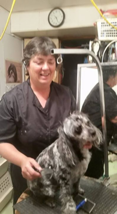 Poodle Parlor - Pet Grooming, Clipping & Washing