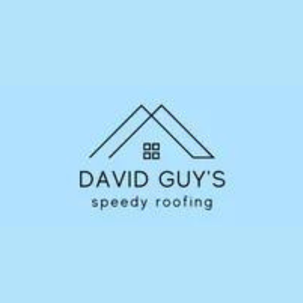 David Guy's Speedy Roofing - Couvreurs