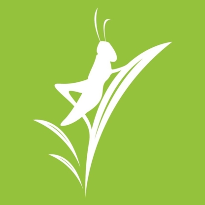 Grasshopper Intuitive Healing Inc - Holistic Health Care