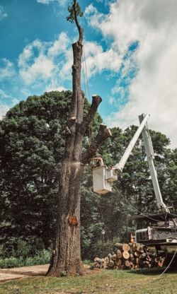 Service d'arbres Woodland - Tree Service