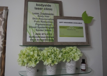 Bodyside Laser Clinic Inc - Laser Treatments & Therapy