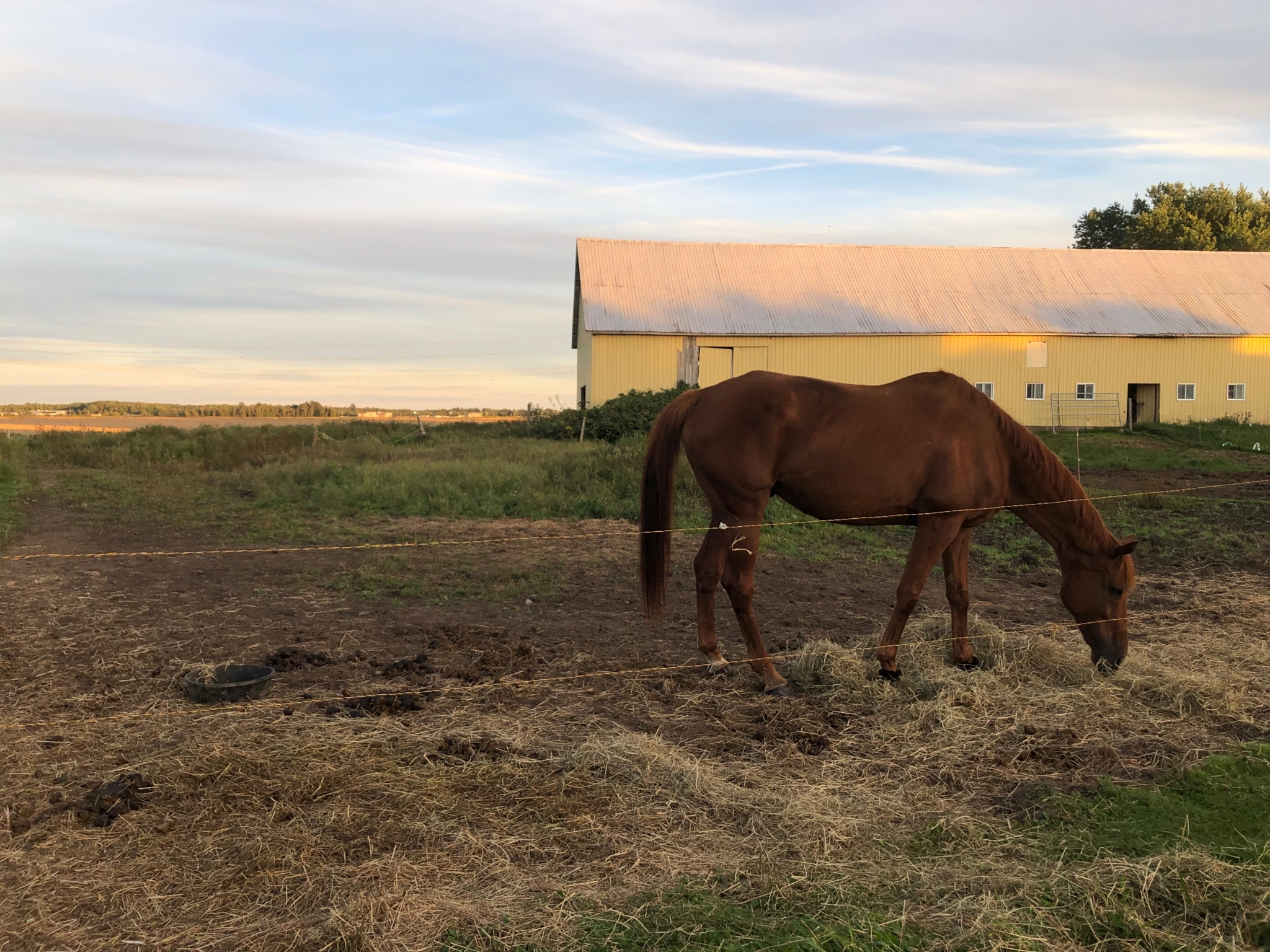 Centre Equestre Drummond Opening Hours 1220 3e rang de WendoverSud