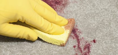Rose City Carpet & Upholstery Cleaning - Carpet & Rug Cleaning
