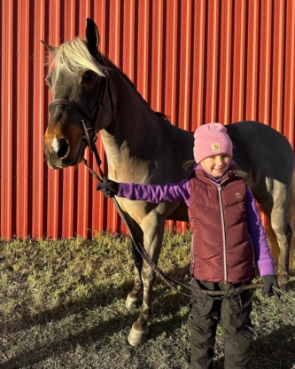 Wynbrook Equestrian Centre - Riding Academies