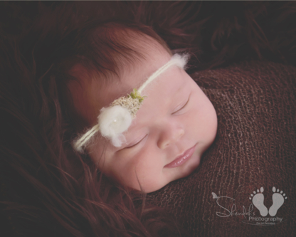 Shendah's Photography - Newborn & Family Photography - Industrial & Commercial Photographers