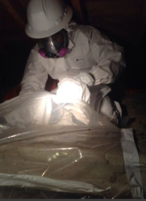 Done Environmental - Asbestos Removal & Abatement