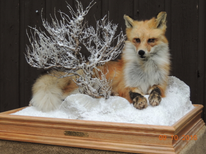 Coyote Flats Taxidermy - Taxidermists