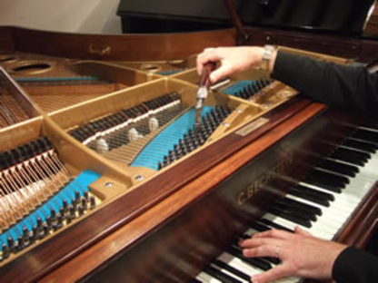 John Lillico RPT - Piano Tuning, Service & Supplies
