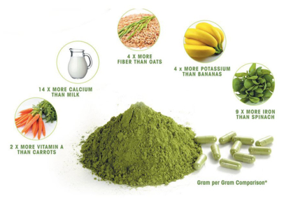 Eat Moringa - Health Food Stores