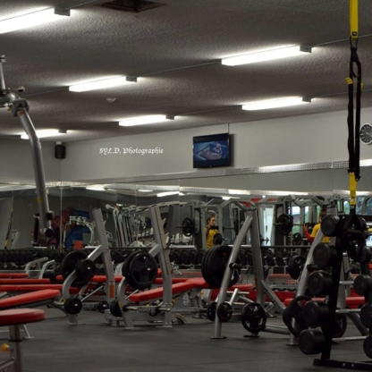 Gym Express - Fitness Gyms