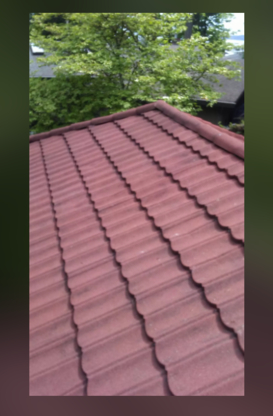 Moss Master Roofing & Maintenance - Roofers