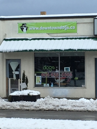 Downtown Dogs - Pet Grooming, Clipping & Washing