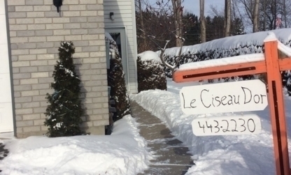 Salon Le Ciseau D'Or - Salons de coiffure et de beauté