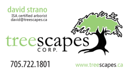 Treescapes Corp - Tree Service