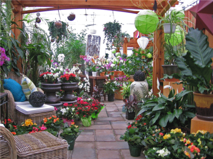 Centre Floral Hollandia - Magasins de plantes d'intérieur