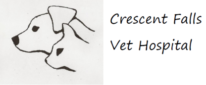 Crescent Falls Veterinary Hospital - Veterinarians