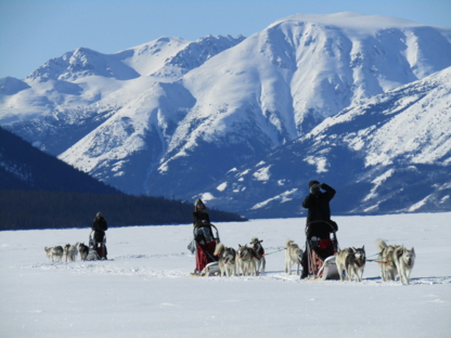 Boreal Kennels- Yukon Dog Sledding - Tourist Attractions