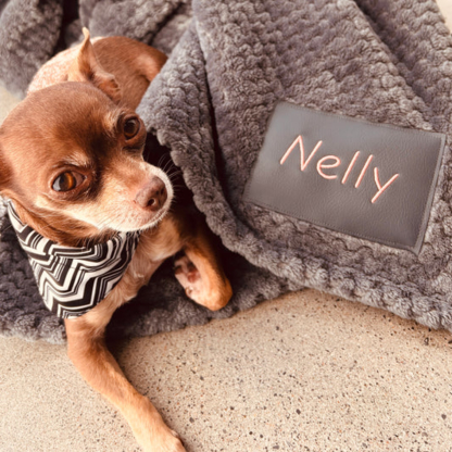 Nelly & Cie inc. - Magasins d'accessoires et de nourriture pour animaux