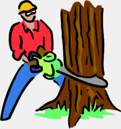 BC Tree Removers - Tree Service