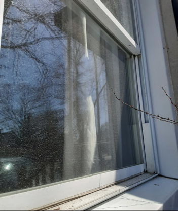 360°WORX - Window Cleaning Service