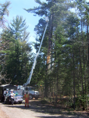 Eagle Tree & Landscaping Services - Service d'entretien d'arbres
