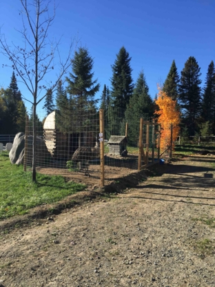 Le Ranch Mont Tremblant - Activités de loisirs