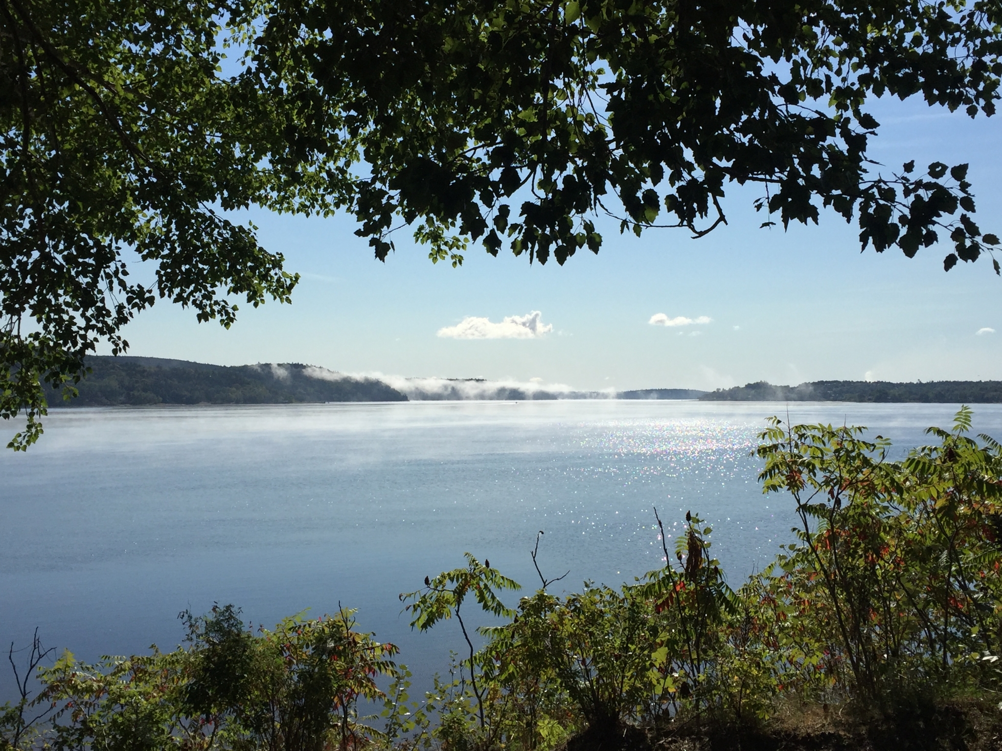 Hardings Point Campground Opening Hours 71 Hardings Point Landing