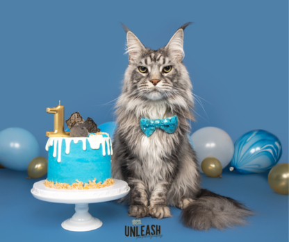 Unleash Pet Photography - Imagerie, impression et photographie numérique