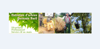 Entretien D'Arbres Germain Baril - Service d'entretien d'arbres
