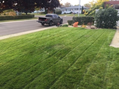 Turf Daddy Lawn Care Services - Lawn Maintenance