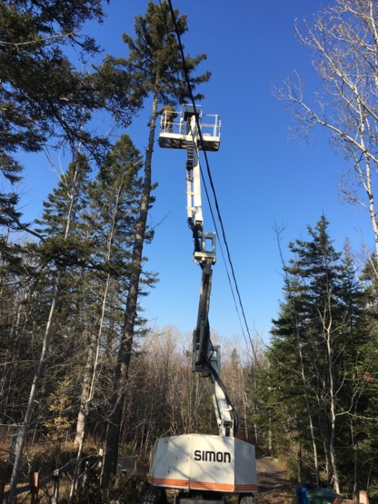 Services d'Entretien 3M - Service d'entretien d'arbres