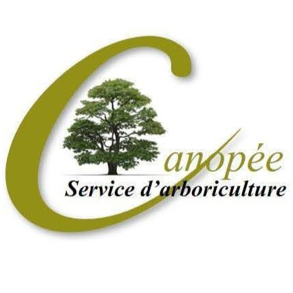 Canopée Service d'Arboriculture - Service d'entretien d'arbres