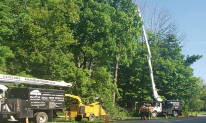 Rayzor Edge Tree Service
