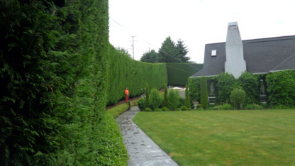 High Line Utilities Inc - Tree Service