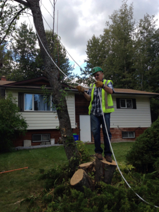 Randy's Tree Maintenance - Tree Service