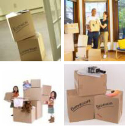 View Nortown Movers’s Newmarket profile