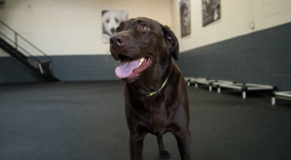 Uberdog Hotel Midtown - Programmes de conditionnement physique et d'entrainement