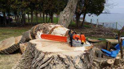 McArthur Tree Service - Service d'entretien d'arbres