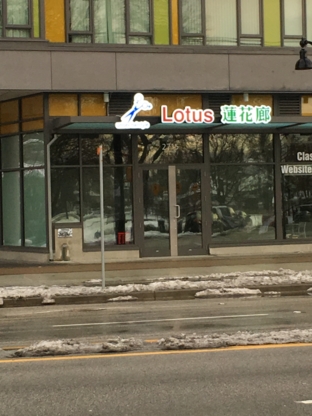 Lotus Hair Salon - Beauty Institutes