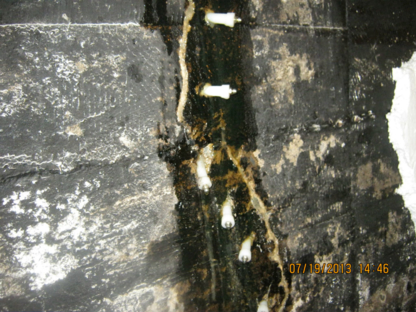 Fissures D L - Restauration, peinture et réparation de béton