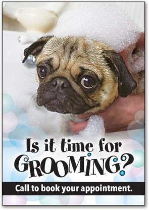 Taylor'd Pets Grooming Salon - Toilettage et tonte d'animaux domestiques
