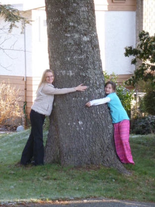 Budget Tree Services Ltd - Tree Service