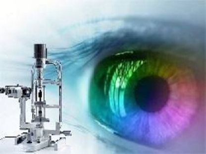 Elmira Family Eye Care - Optometrists