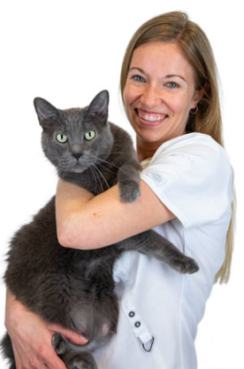 Mercier Animal Hospital & Clinic - Veterinarians