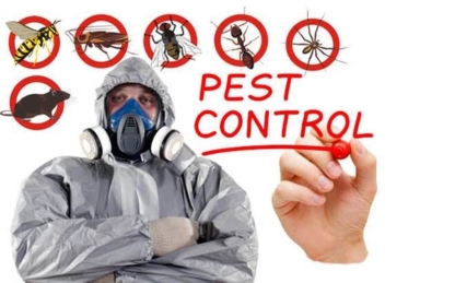 R.G. Extermination - Pest Control Services