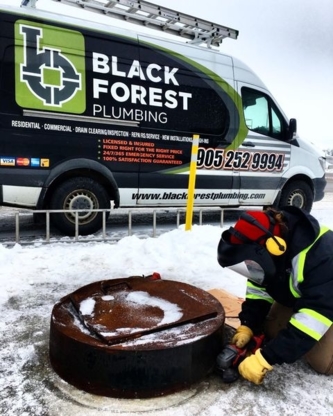 Black Forest - Entrepreneurs en climatisation