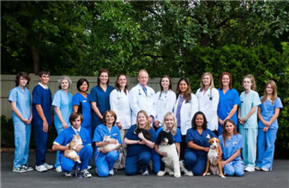 Southdown Animal Clinic - Veterinarians